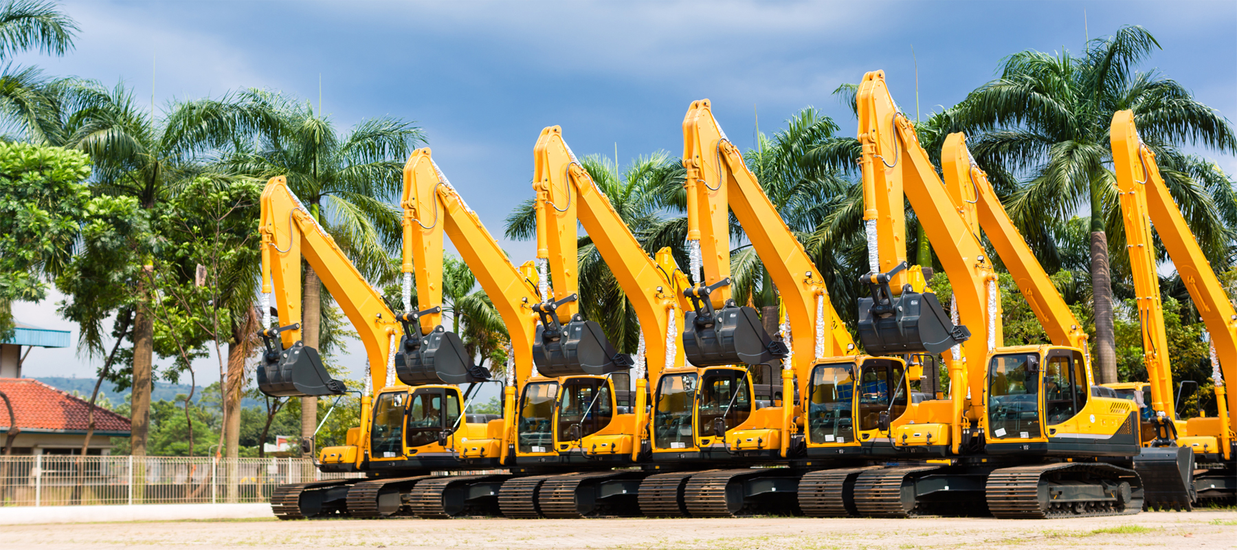 A Row of Excavators Ready to be Rented