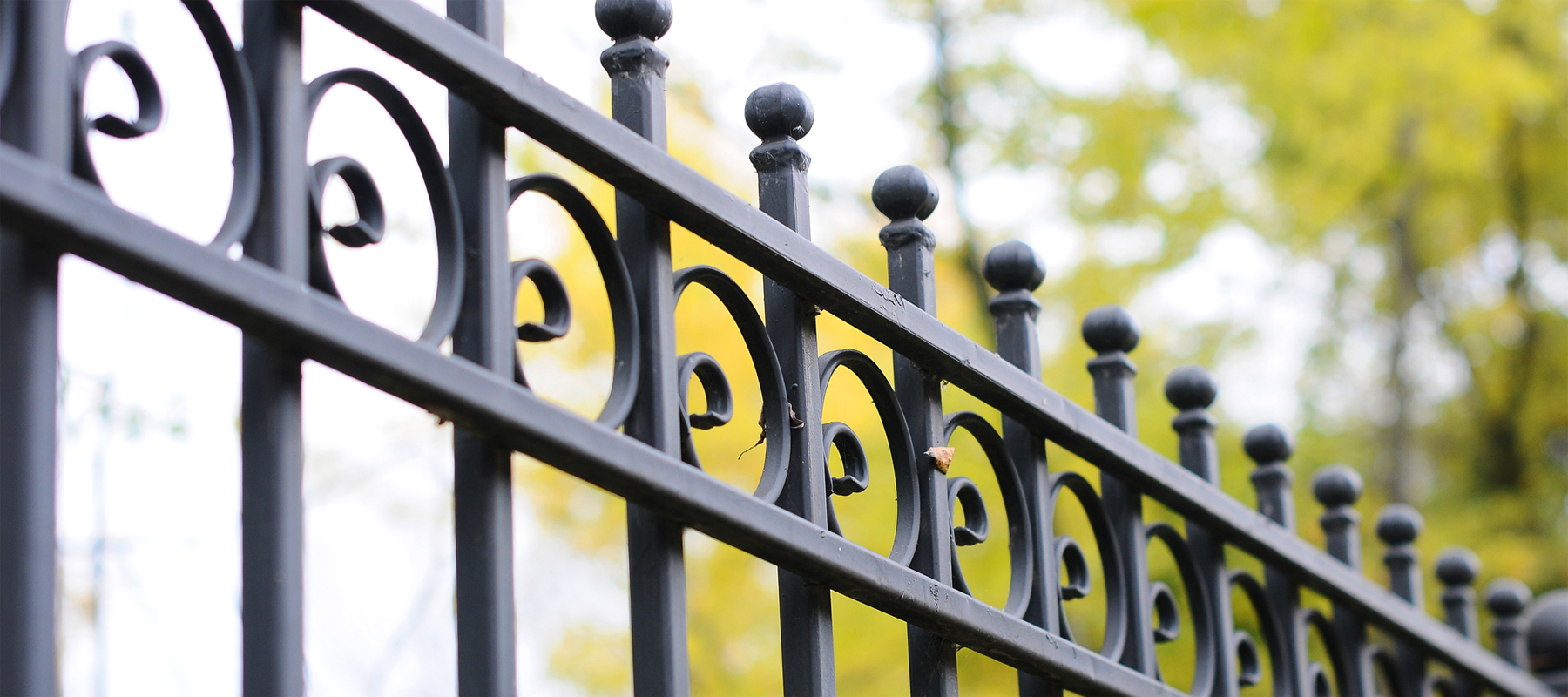 Black Wrought Iron Ornamental Fence