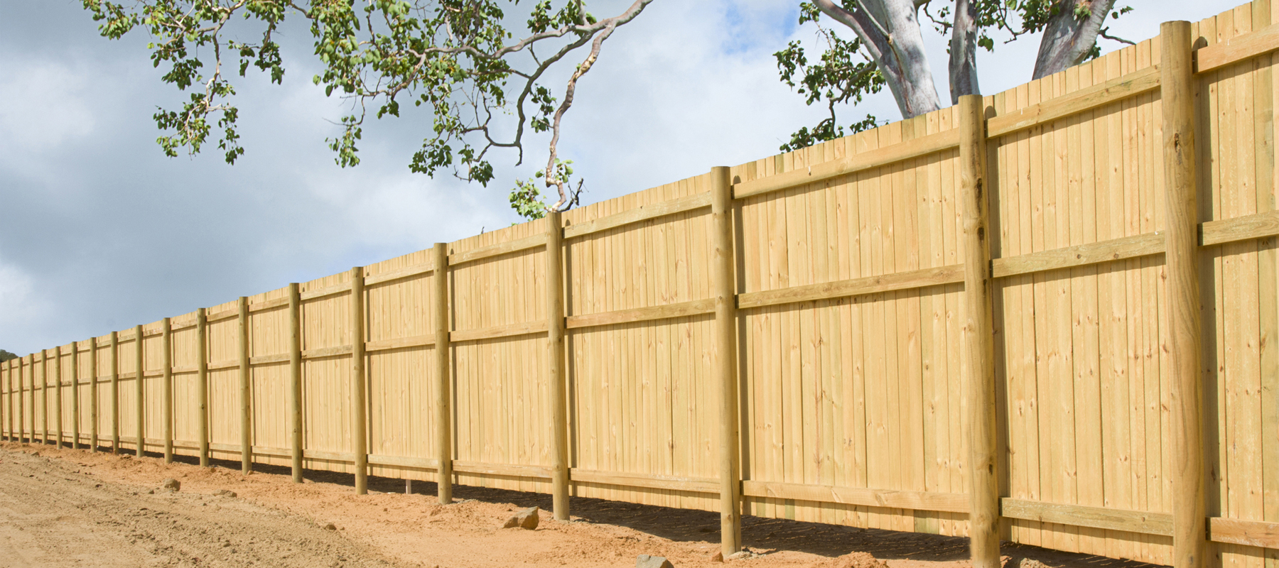 Wood Fence with a Tree