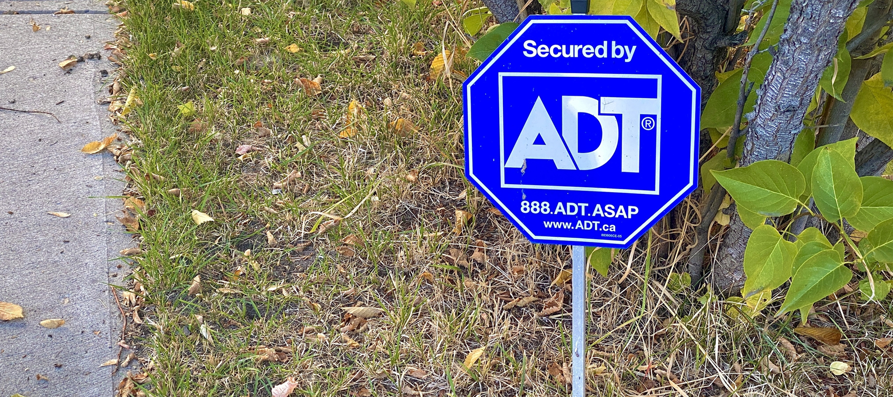 Adt Home Security System Costs How