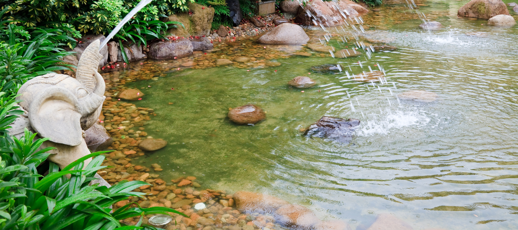 Pond Installation with Fountain