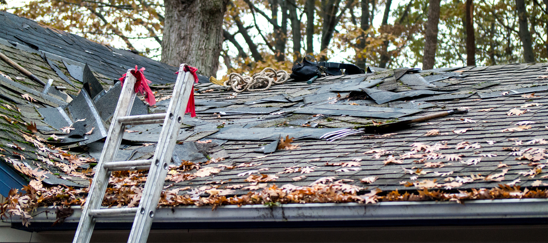 Old Roof that Needs Repair or Replacement